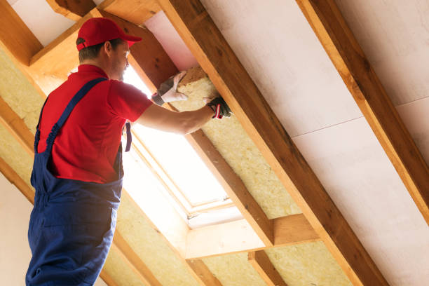 Eco-Friendly or Green Insulation Solutions in Plymouth, MN